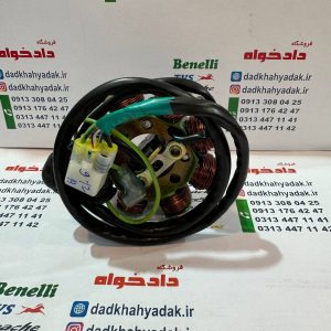 بوبین (دستگاه برق) سیم پیچی برق موتور پالس LS135 ال اس135 باجاج اصلی