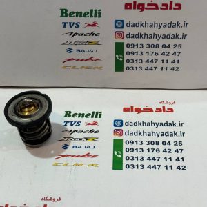 ترموستات اصلی ان اس و اراس 200