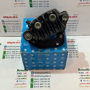 پمپ ترمز جلو رو دیسک پپالس LS135 اصلی