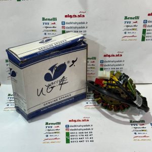 بوبین (دستگاه) سیم پیچی موتور پالس 180 UG4 (بدون هندل زین دو تیکه)200 و220(18 پره) اصلی