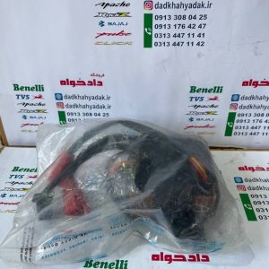 کامپیوتر پالس 220 اصلی